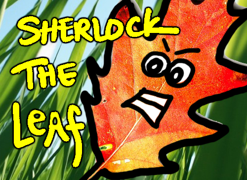 sherlocktheleaf.jpg